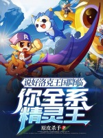 小说《洛克王国精灵王百度百科》封面