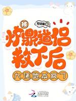 小说《被炉鼎道侣救下后,大佬她杀疯了》封面