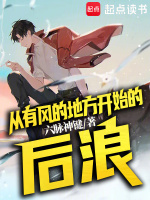 小说《有风的地方开始后浪全文阅读下载》封面