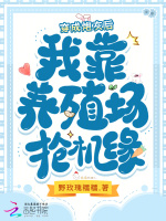 小说《穿成炮灰养娃躺赢》封面