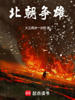 小说《北朝争雄篱笆好文学》封面