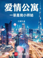 小说《爱情公寓第一季一菲跳舞是哪一集》封面