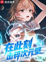 小说《在此刻,击碎次元壁TXT下载》封面