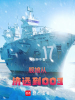 小说《舰娘从济远到003无防盗》封面