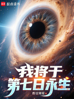 小说《我将于第七日永生小说》封面