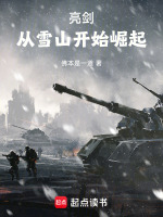 小说《亮剑:从雪山开始崛起章节目录》封面