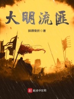 小说《大明流匪小说免费阅读》封面