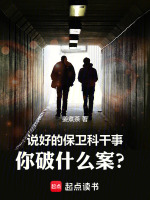 小说《保卫科是干什么的?》封面
