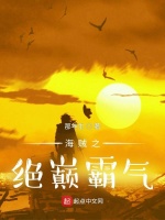 小说《海贼之绝巅霸气》封面