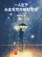 小说《一人之下金光咒的作用》封面