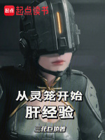 小说《从灵笼开始的旅程》封面