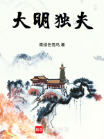 小说《独断大明》封面
