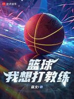 小说《教练我想打篮球片段》封面