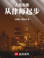 小说《人在北美从律师起步》封面