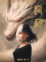 小说《龙藏起点》封面