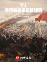 小说《骑砍领主技能》封面
