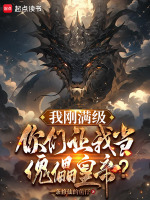 小说《我已经满级了》封面