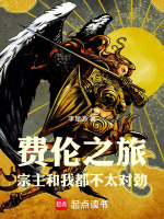 小说《费伦wiki》封面