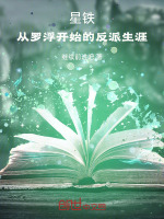 小说《星铁:从罗浮开始的反派生涯》封面