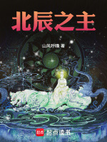 小说《北辰之主》封面