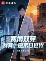 小说《赛博双穿:我有一座末日世界无防盗》封面