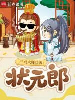 小说《状元郎三戒大师》封面