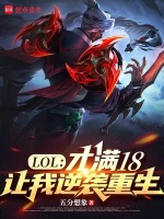 小说《lol满18还限制时间》封面