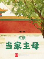 小说《红楼当家主母》封面