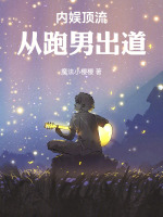小说《内娱顶流:从跑男出道完结免费》封面