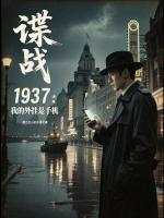 小说《我的谍战生涯全文阅》封面