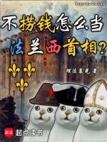 小说《法兰西永不投降》封面