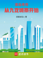 小说《港漫九龙城寨》封面