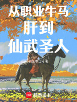 小说《从职业牛马肝到仙武圣人免费》封面