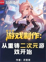 小说《游戏制作:从重铸二次元游戏开始无错版》封面