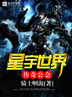 小说《星宇世界传奇公会百科》封面
