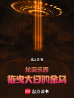 小说《轮回乐园:拖曳大日的金乌沐阳》封面