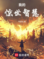小说《我的惊世智慧小说》封面