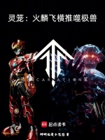 小说《灵笼会飞的噬极兽》封面