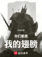 小说《你们都是我的翅膀李昂》封面