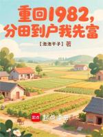 小说《重回1982,分田到户我先富》封面