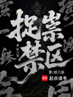 小说《捉祟禁区》封面