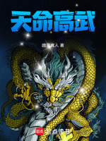 小说《天命高武阴玖月》封面