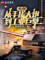 小说《亮剑里面扔手榴弹很厉害》封面
