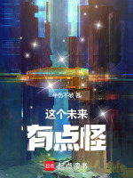 小说《这个未来怎么写》封面