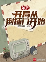 小说《年代:开局从倒插门开始》封面