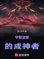 小说《宇智波家族的天才》封面
