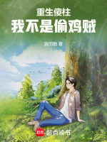 小说《重生傻柱我不是偷鸡贼免费阅读》封面
