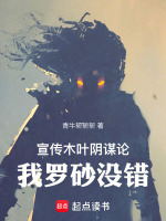 小说《木叶和砂隐互相对峙是哪一集》封面