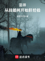 小说《巫师:从技能树开始肝经验92章》封面