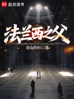 小说《法兰西之父第三中文网》封面